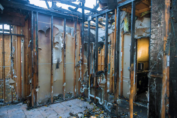Professional Emergency Fire Cleanup technician working in Camden, OH